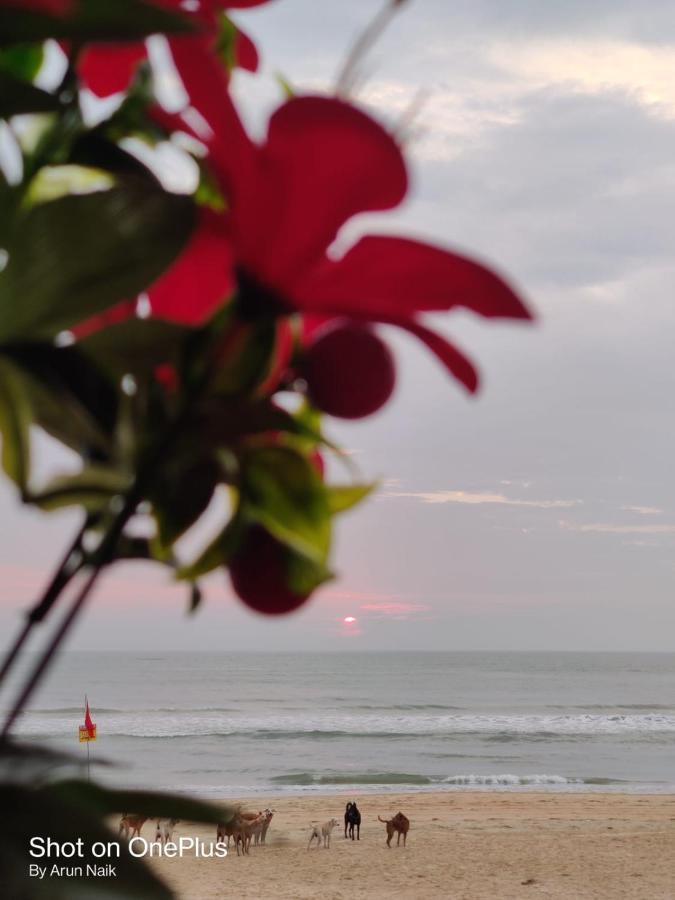 Happy Shack And Wooden Huts * Colva